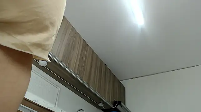 KellyShibary webcam