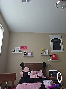 AmethystFoxx webcam