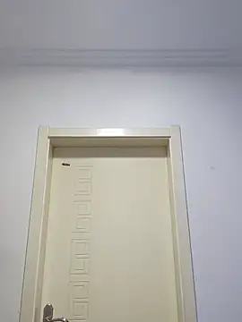 guozuo webcam