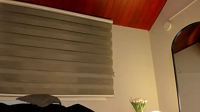 MERIDA_TAYLOR webcam
