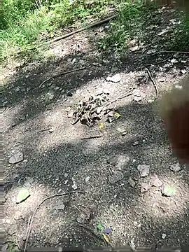 moordick4u (Ask my age) - #69-position #american #ass-to-mouth #bbc #big-cocks #black-hair #blowjob #cam2cam #cheapest-privates #cum-play #cumshot #daddies #deepthroat #dildo-or-vibrator #dirty-talk #doggy-style #double-penetration #ebony #ejaculation #facial #gagging #glory-hole #hd #humiliation #masturbation #mobile #muscular #oil-show #orgasm #recordable-privates #recordable-publics #role-play #sexting #straight #striptease #swallow #twerk