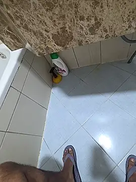 dream_catcher webcam