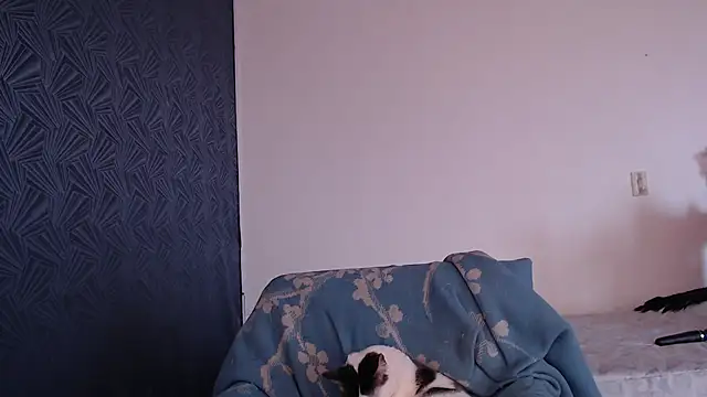 Freyja_eter webcam