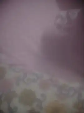 8414033011_wpp webcam
