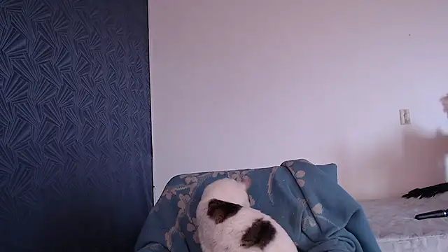 Freyja_eter webcam