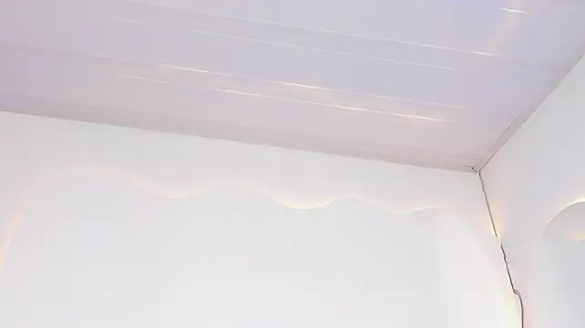 ArohomLester_ webcam