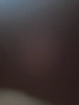 kotkite webcam