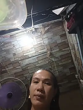 manilafoxts webcam