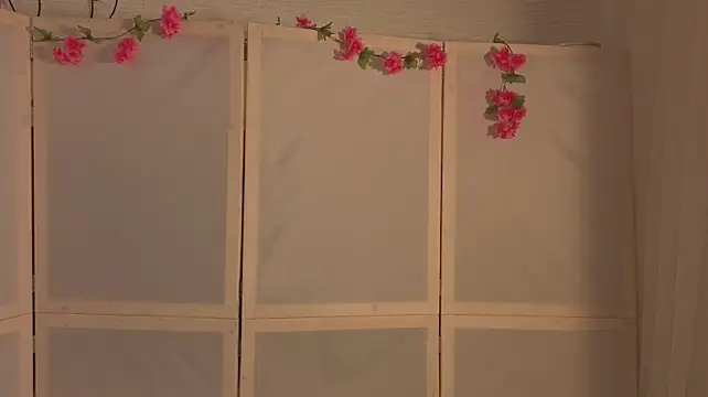 EulaZolla webcam