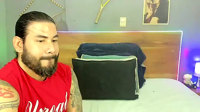 Prometeo-grizzly webcam