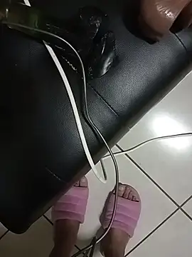 ShooingBunch webcam