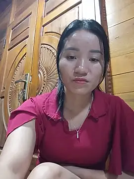 Td3di webcam
