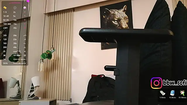 virtual_charm webcam