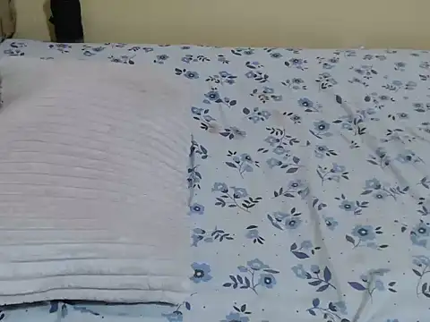 lynnsee webcam