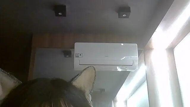 SkinnyKitten webcam