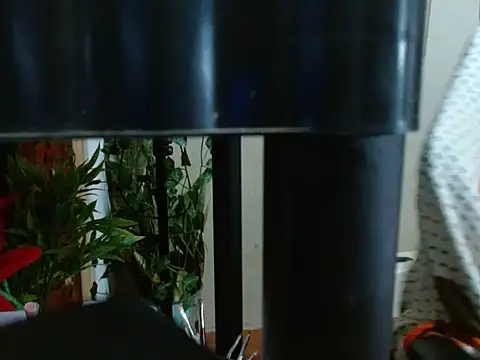 Dirtylovv webcam
