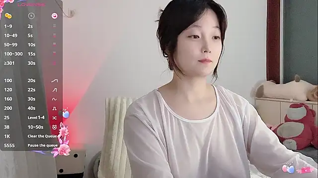 _flipped_ webcam