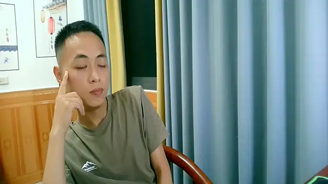 UpeLark webcam
