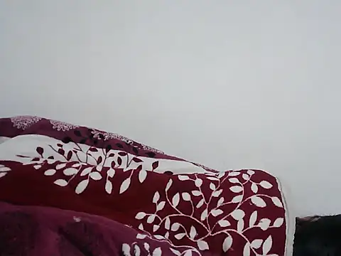 Bbi_8386 webcam