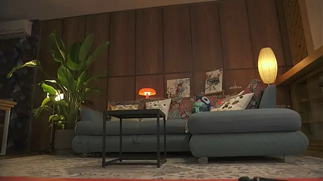 Sofa_01 webcam