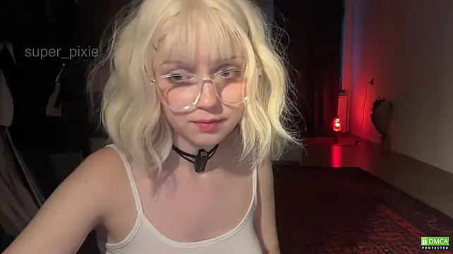 super_pixie webcam