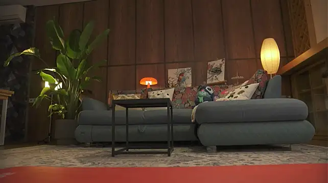 Sofa_01 webcam