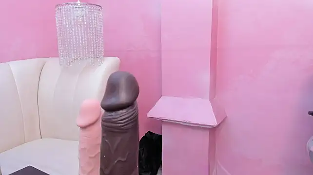 AuroraGreyy webcam