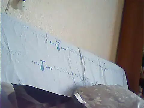 VeneRed webcam