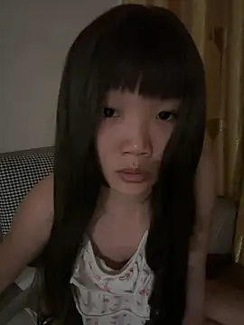 Flive-duo webcam