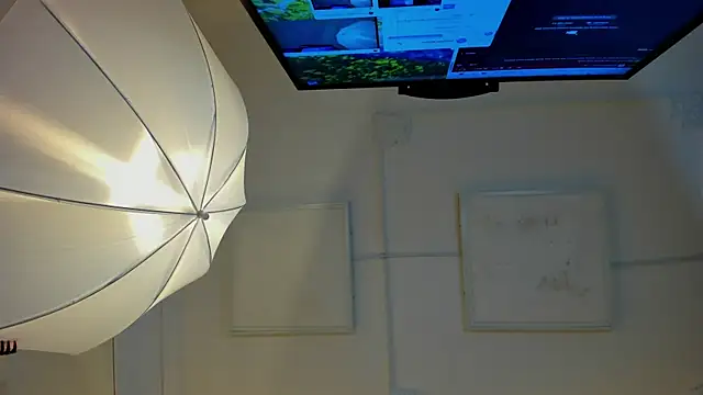 AleskaRivers webcam