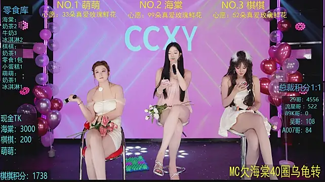 CCXY-02 webcam