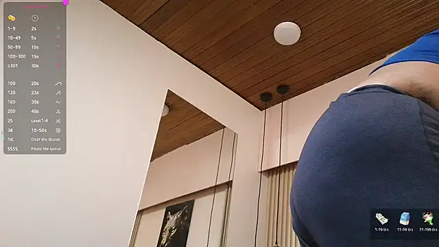 virtual_charm webcam