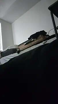 ZeldaSneakyLink webcam
