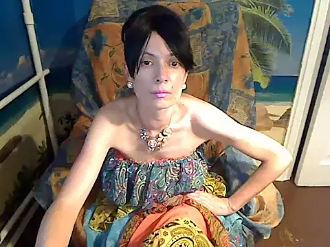 Bastet12 webcam
