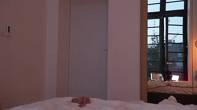 ibiddi