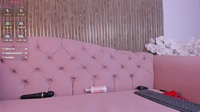 Lua_Foxy webcam
