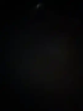blackhotpartyts webcam