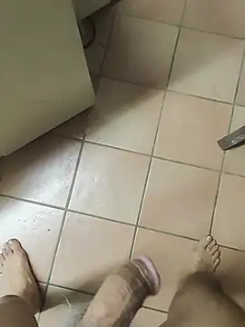 TAMI61 webcam