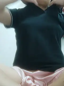 Lumihien webcam