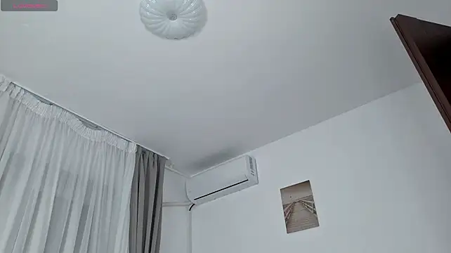 JullyFox webcam