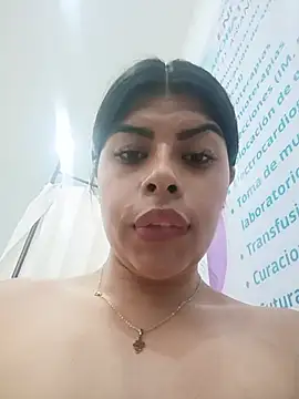 SOFIA-11_ webcam