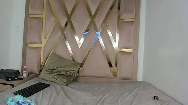 Katlin_asm webcam