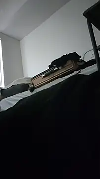 ZeldaSneakyLink webcam
