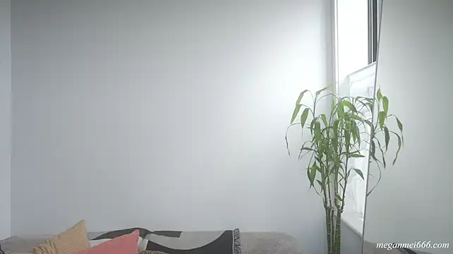 meganmei666