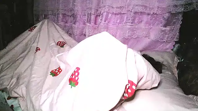 hebe-02 webcam