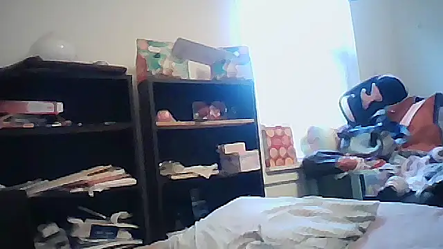 starlight1983 webcam