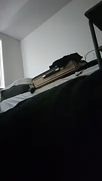 ZeldaSneakyLink webcam