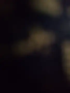 Ernesthot82 live sex cam