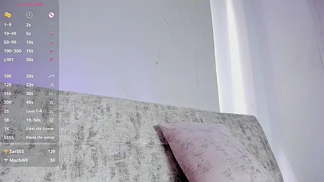 artmiaa webcam