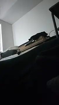 ZeldaSneakyLink webcam